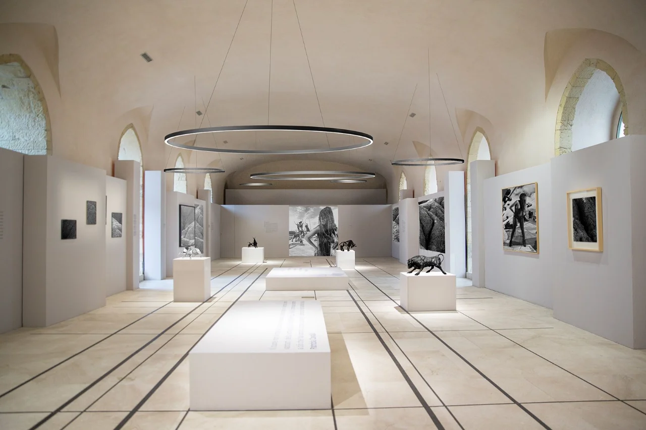 TheO Ringleuchte in einer Ausstellungssituation mit präziser Lichtwirkung