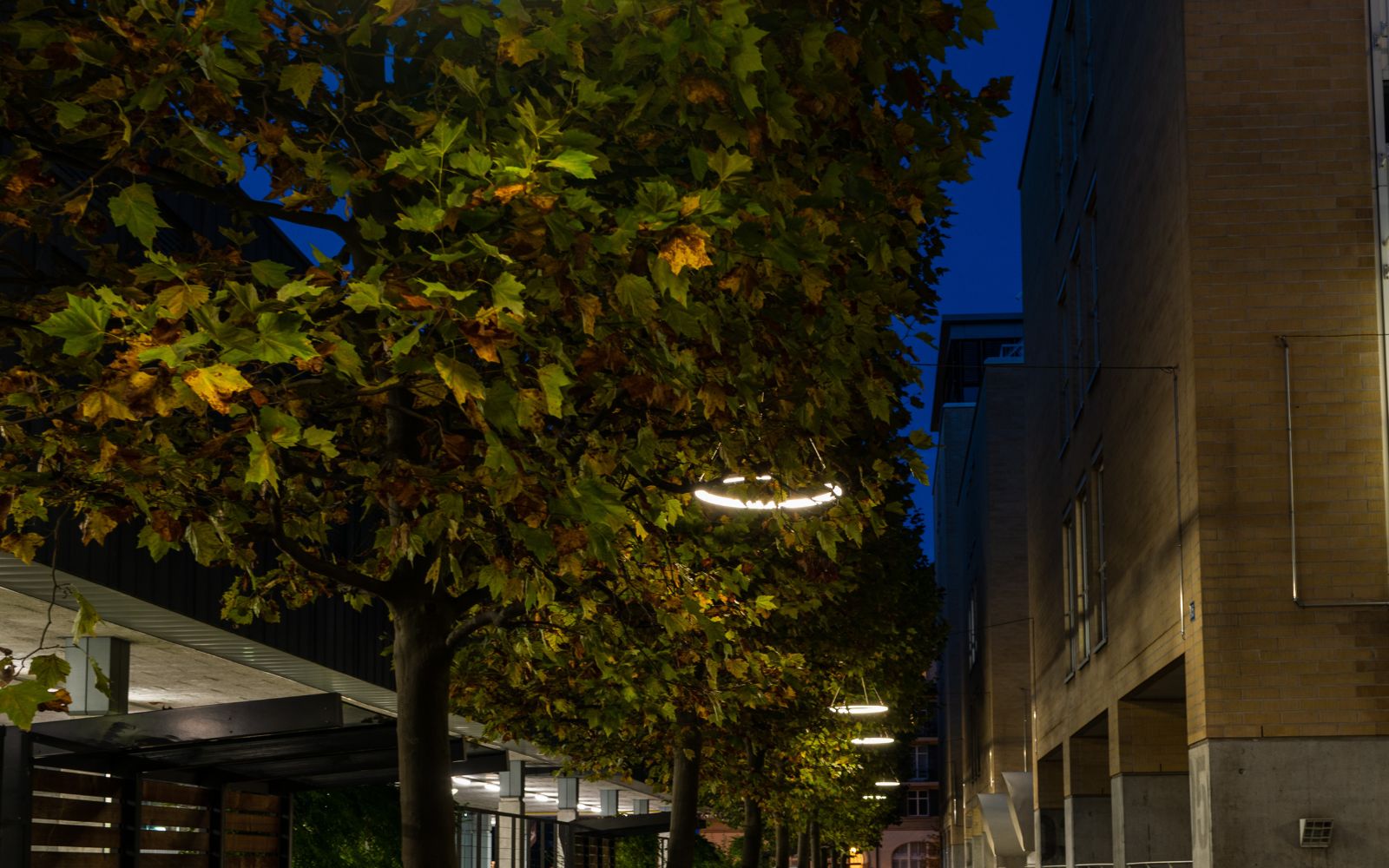 TheO LED Aussenbeleuchtung Zuerich 2 1