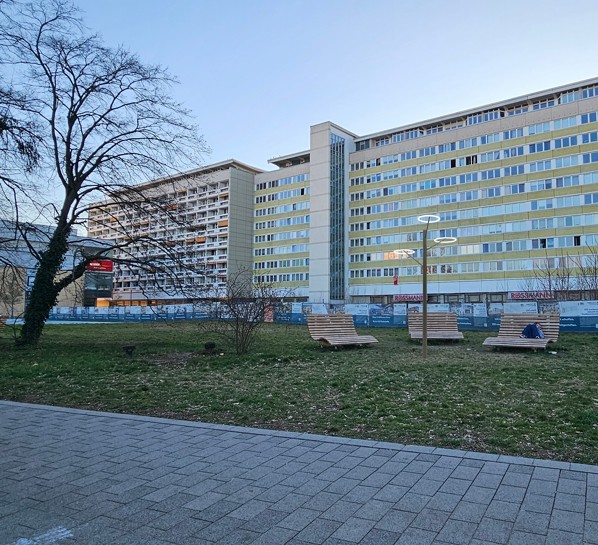 Florale LED-Mastleuchte TheO Tree mit ringförmigen Leuchtelementen im Außenraum
